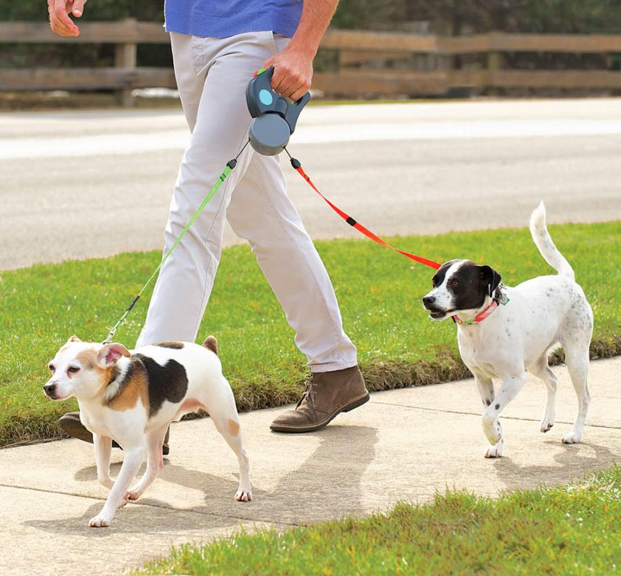Walk 2 Dogs with 1 Hand – The Viral DualDog™ Leash